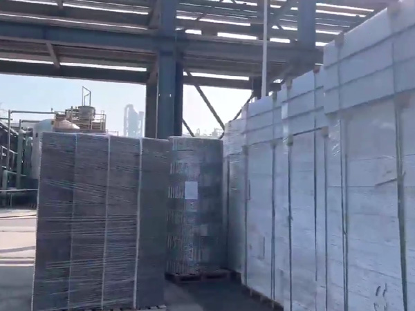 四川福華集團  二乙酯項目，塔內件，填料